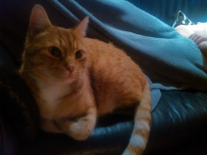 Jerry