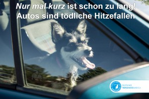 Foto: Deutscher Tierschutzbund