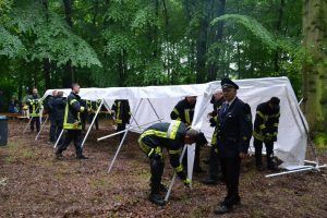 Pfingstkonzert Pfingstwald Hasloh Musikzug Freiwillige Feuerwehr